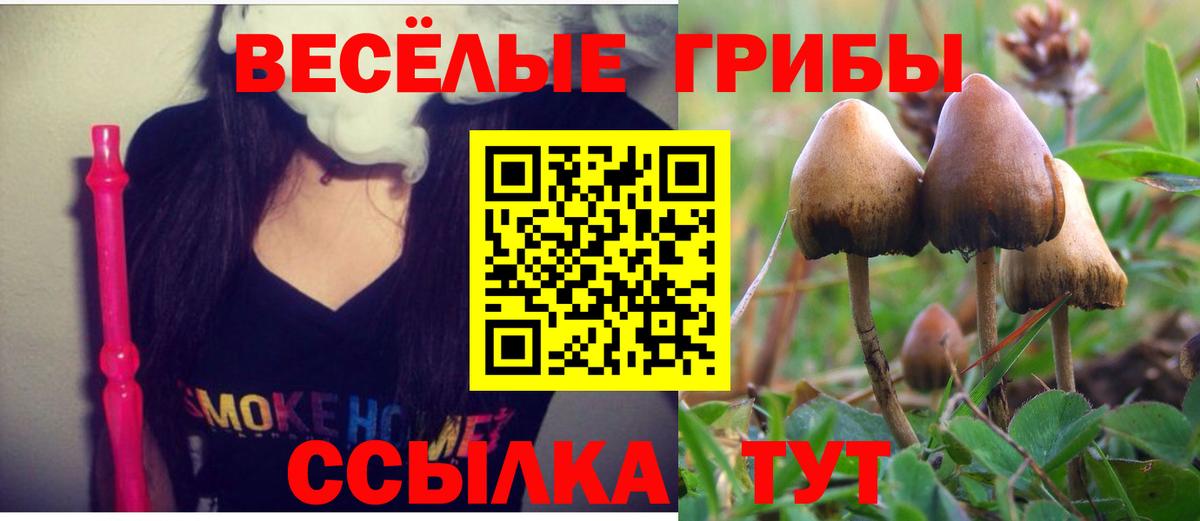 Великий Новгород  Псилоцибиновые грибы мицелий  Вход с VPN 