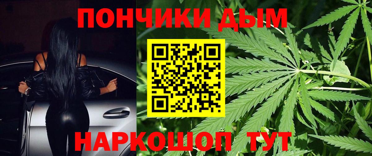 Бошки марихуана сатива Великий Новгород